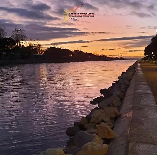 24137 Port Camargue, Piscine, Climatisation, 4 Personnes